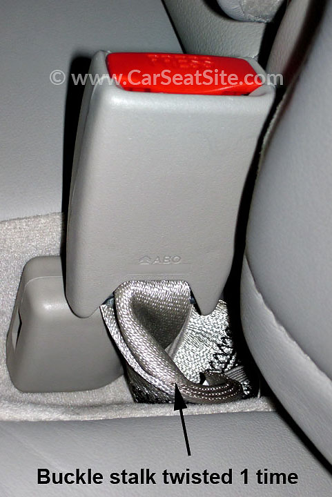 twisted buckle stalk